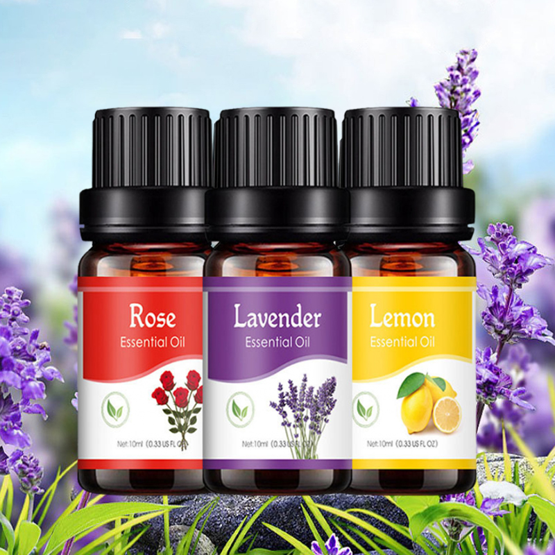 Perfume Fragrance World - 10ml doğal bitki yapma difüzör suda