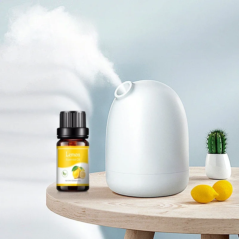10ml doğal bitki yapma difüzör - Perfume Fragrance World incelemesi ve fiyatı