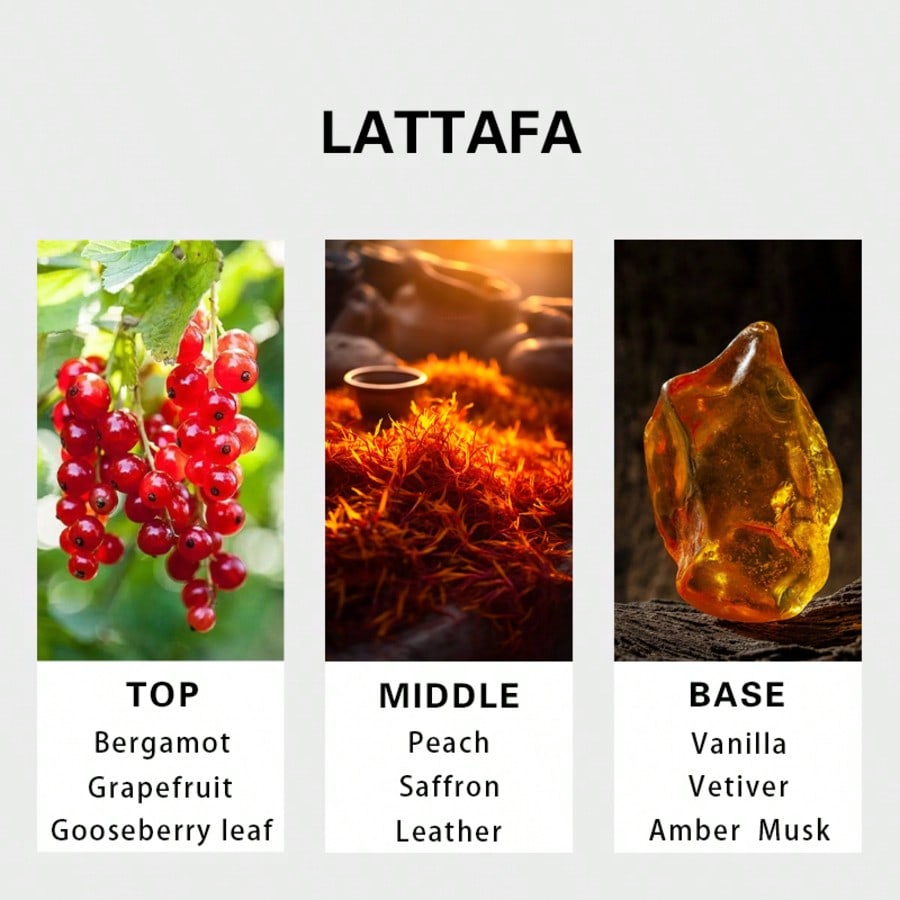 Hayaati Gold Elixir Erkek Parf - Perfume Fragrance Perfume incelemesi ve fiyatı
