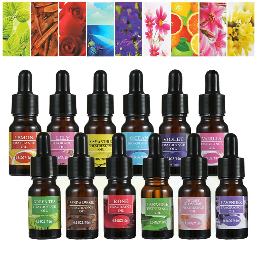 Araba Parfümü Yedek Sıvı Esans - Perfume Fragrance World incelemesi ve fiyatı